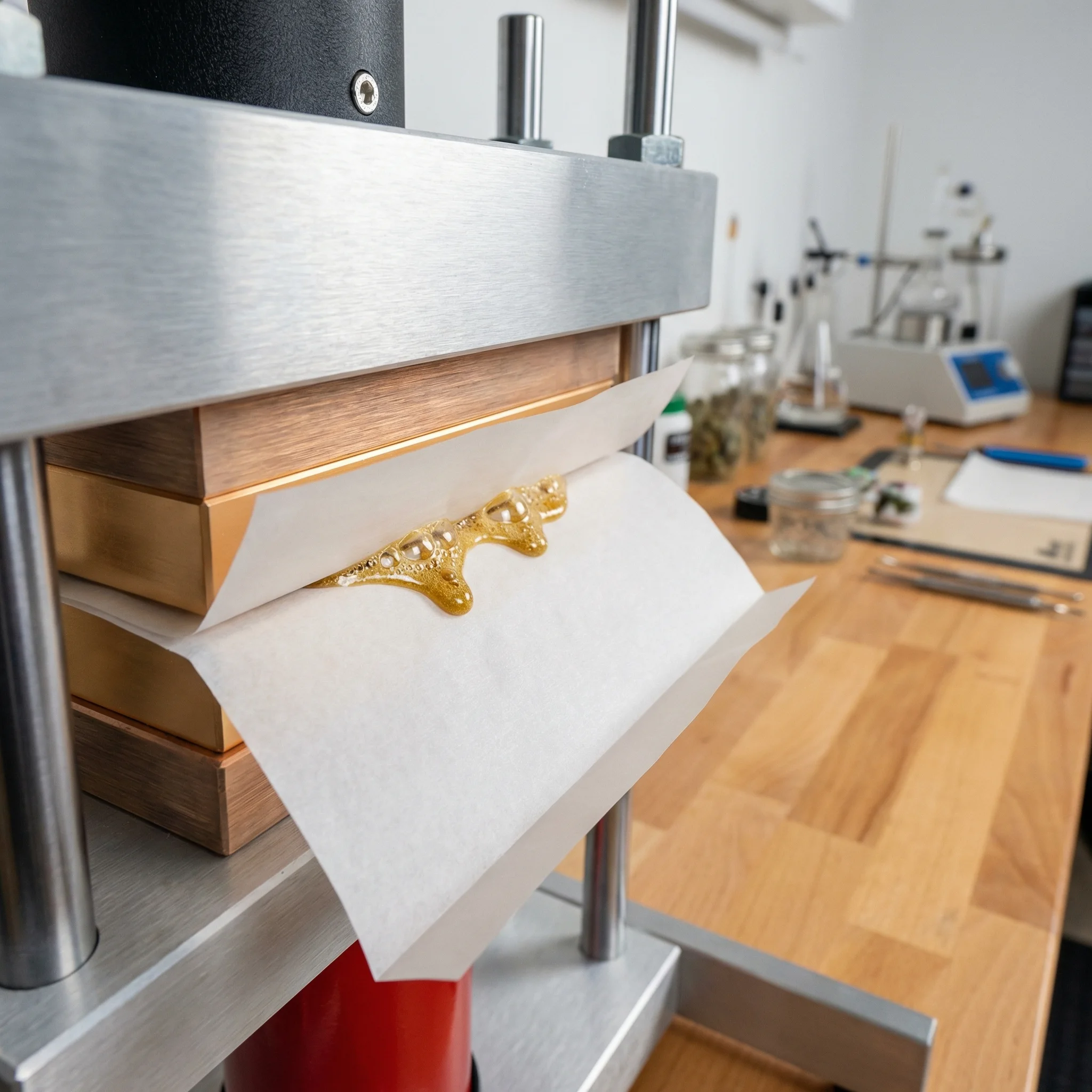 Heated rosin press plates compressing prepared hemp material for solventless concentrate extraction.