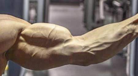muscle_growth_450x248