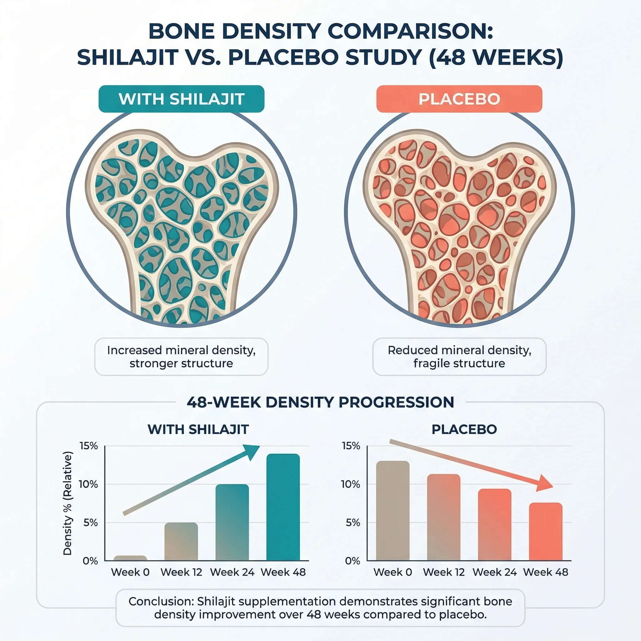 Infographic comparing bone density preservation with shilajit supplementation versus placebo over 48 weeks