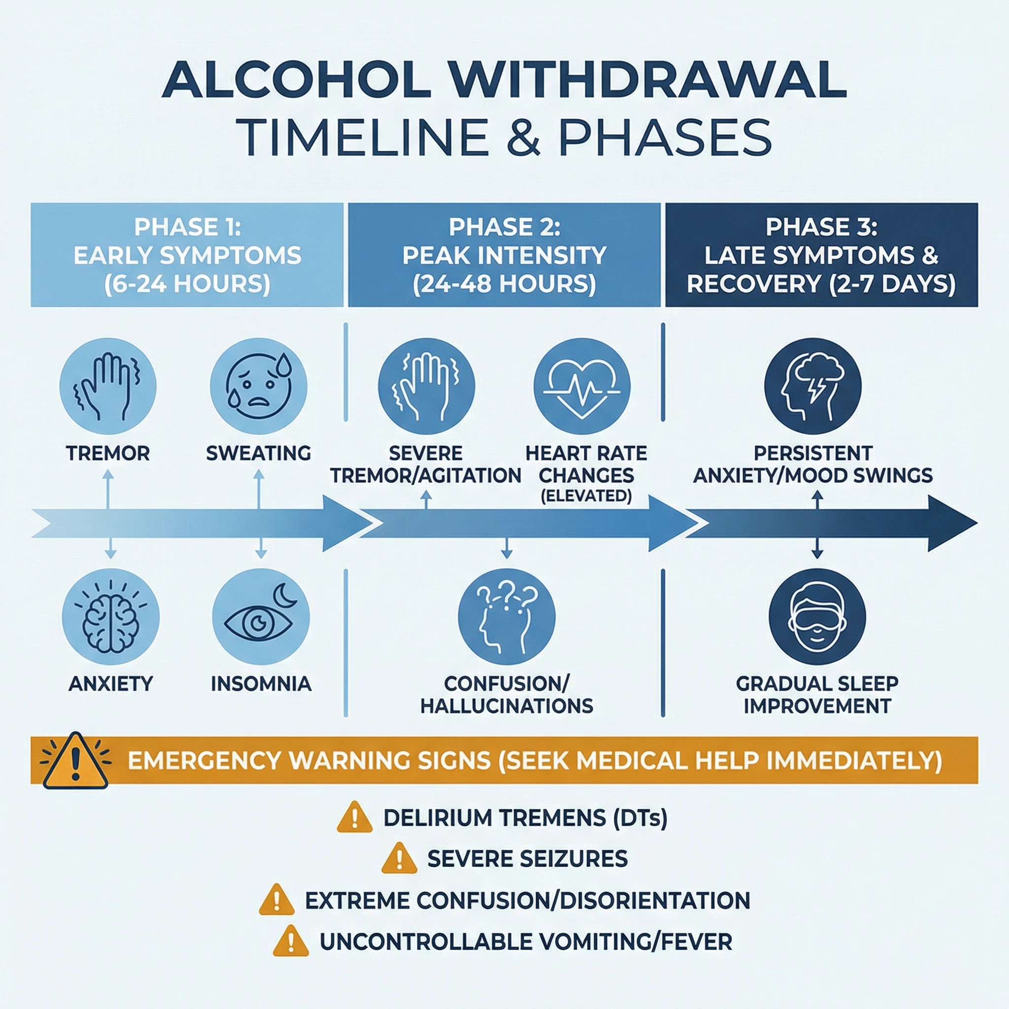 Clinical infographic showing alcohol withdrawal phases from early symptoms to recovery milestones and emergency warning signs.