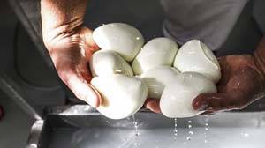 mozzarella_probiotics_300x168