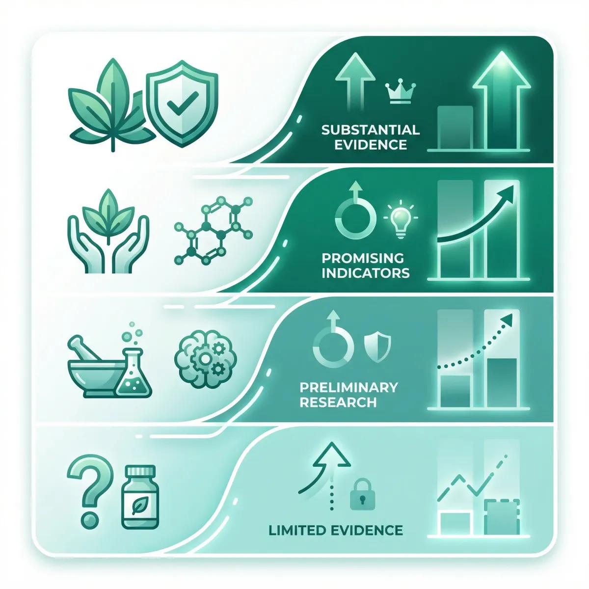 Infographic ranking CBD evidence strength from stronger seizure indications to uncertain wellness claims.