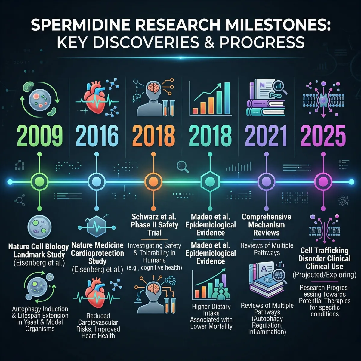Timeline showing key spermidine research milestones from the 2009 Nature Cell Biology study through recent clinical trials
