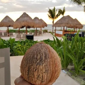 coconut health benefits