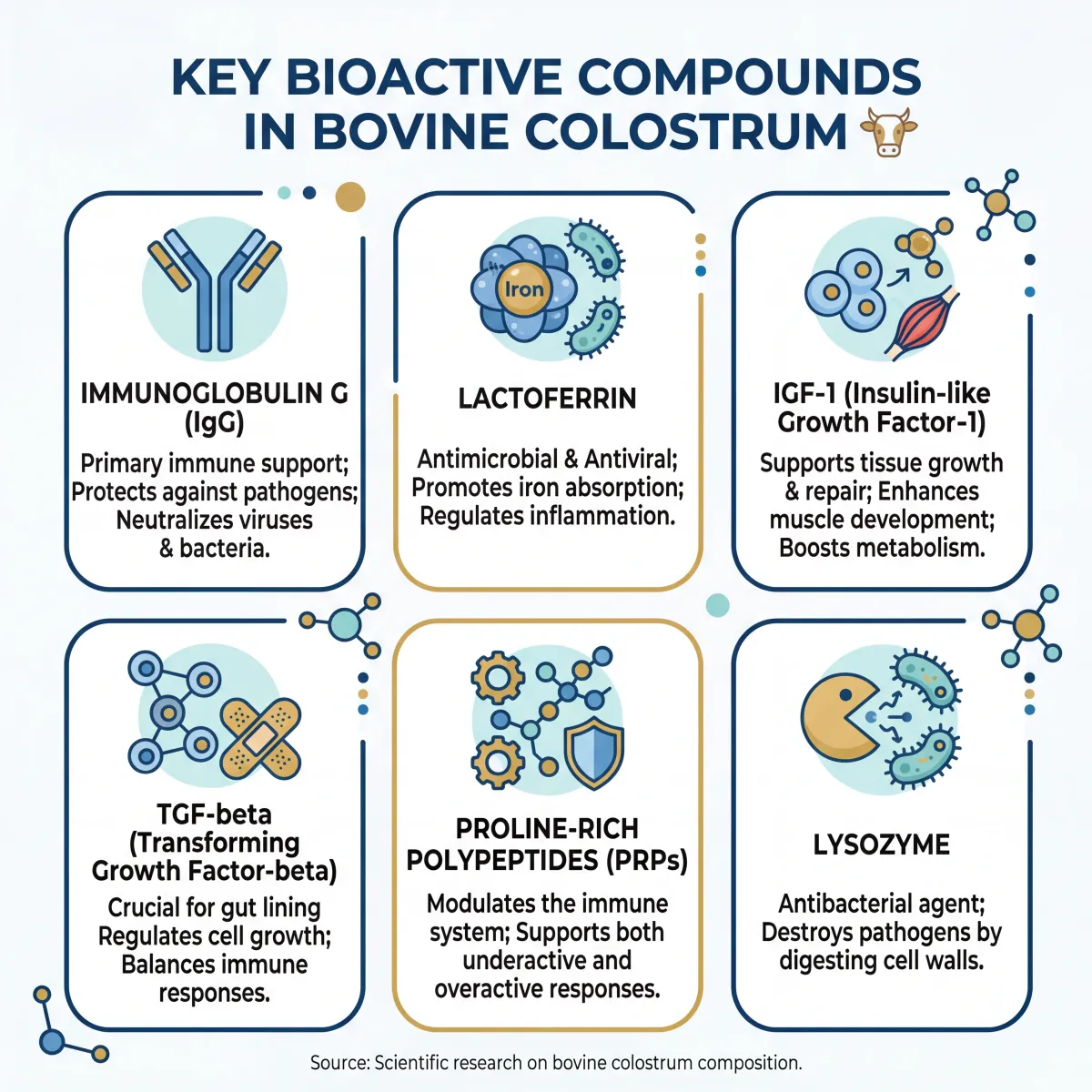 Infographic showing the key bioactive compounds found in bovine colostrum and their biological functions