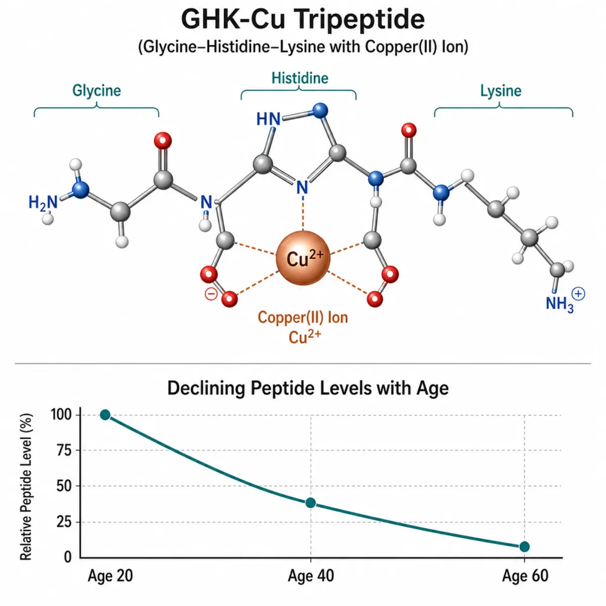 GHK-Cu molecular structure with graph showing age-related decline in peptide levels