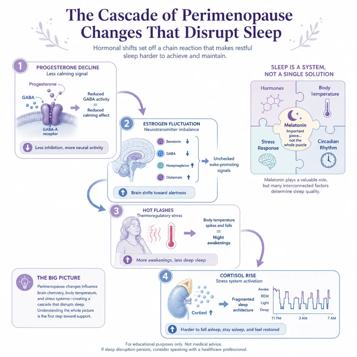 Infographic showing how progesterone decline, estrogen fluctuation, hot flashes, and cortisol changes each contribute to perimenopausal insomnia beyond melatonin deficiency
