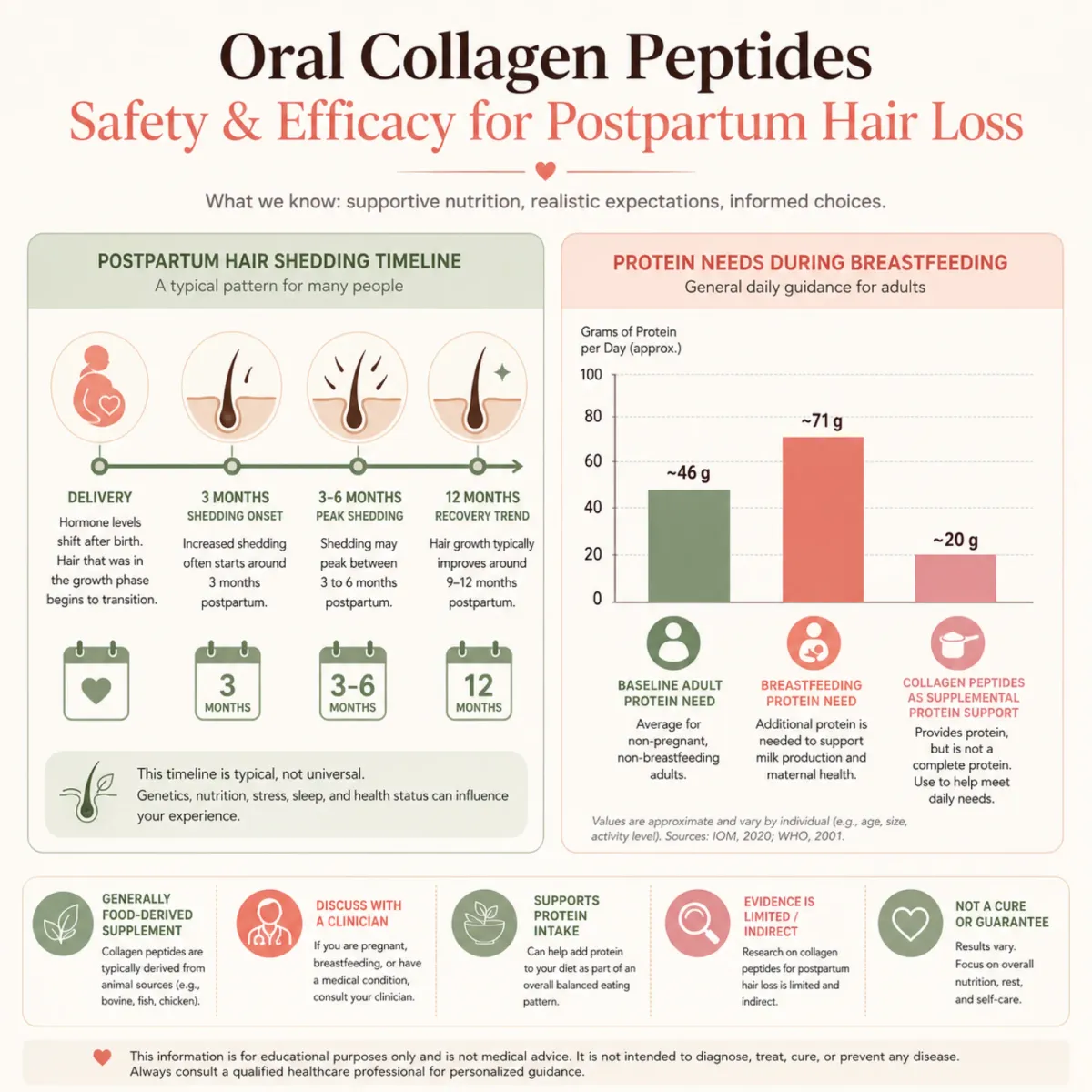 Infographic showing postpartum hair loss timeline and collagen peptide supplementation details for breastfeeding mothers