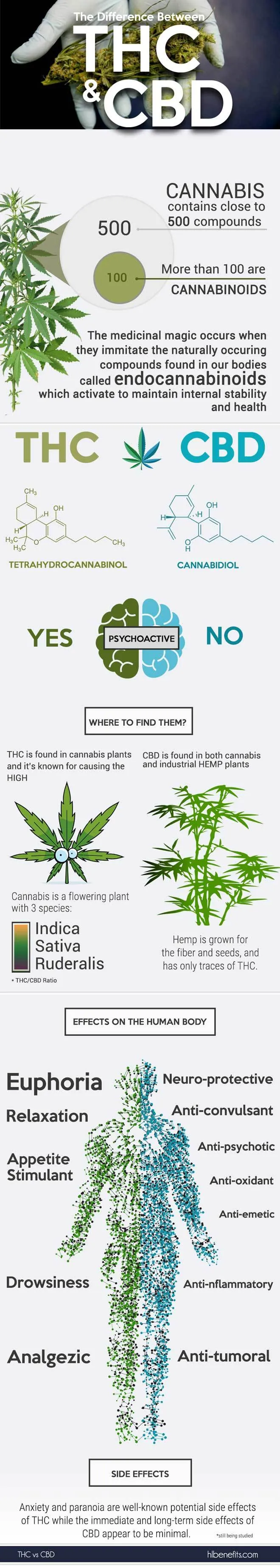 thc-vs-cbd-660x3686