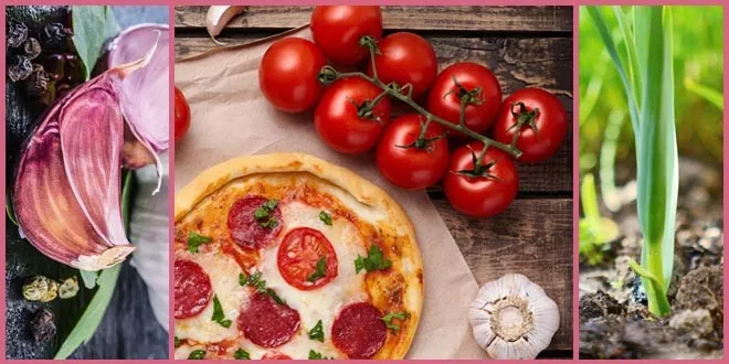 Garlic Health: 8 Impressive benefits of garlic