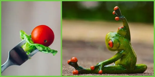 Avoid Post-Workout Overeating and Increase Efficiency - Food & Nutrition