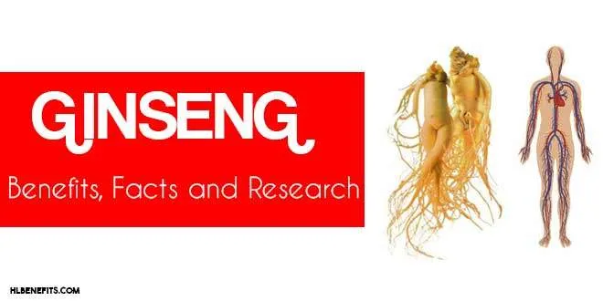 Panax Ginseng | Benefits, Facts and Research