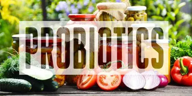 2016 Best Probiotics Foods Explained