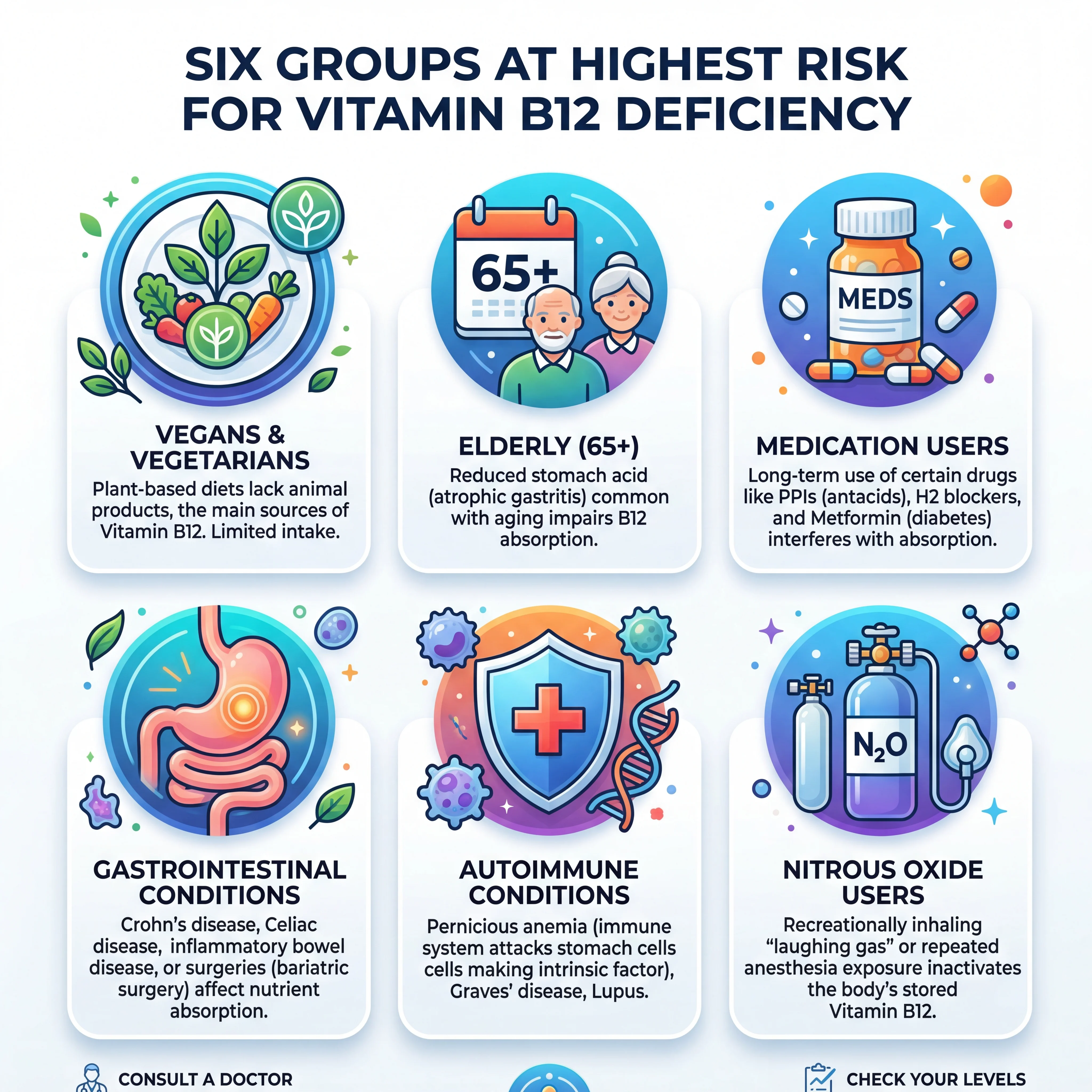 Infographic showing six groups at highest risk for B12 deficiency with prevalence statistics for each group