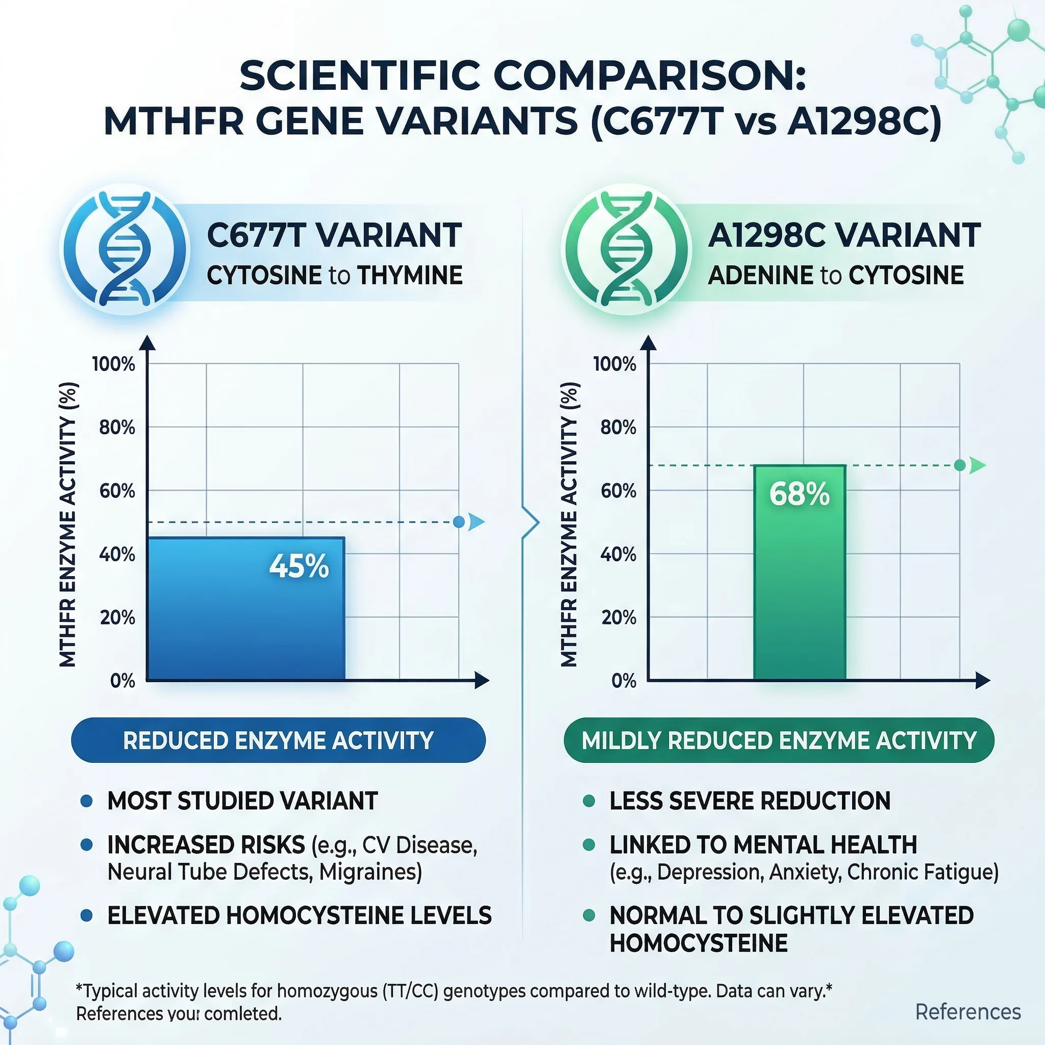 Side-by-side comparison chart of C677T and A1298C MTHFR gene variants showing enzyme activity levels and population prevalence