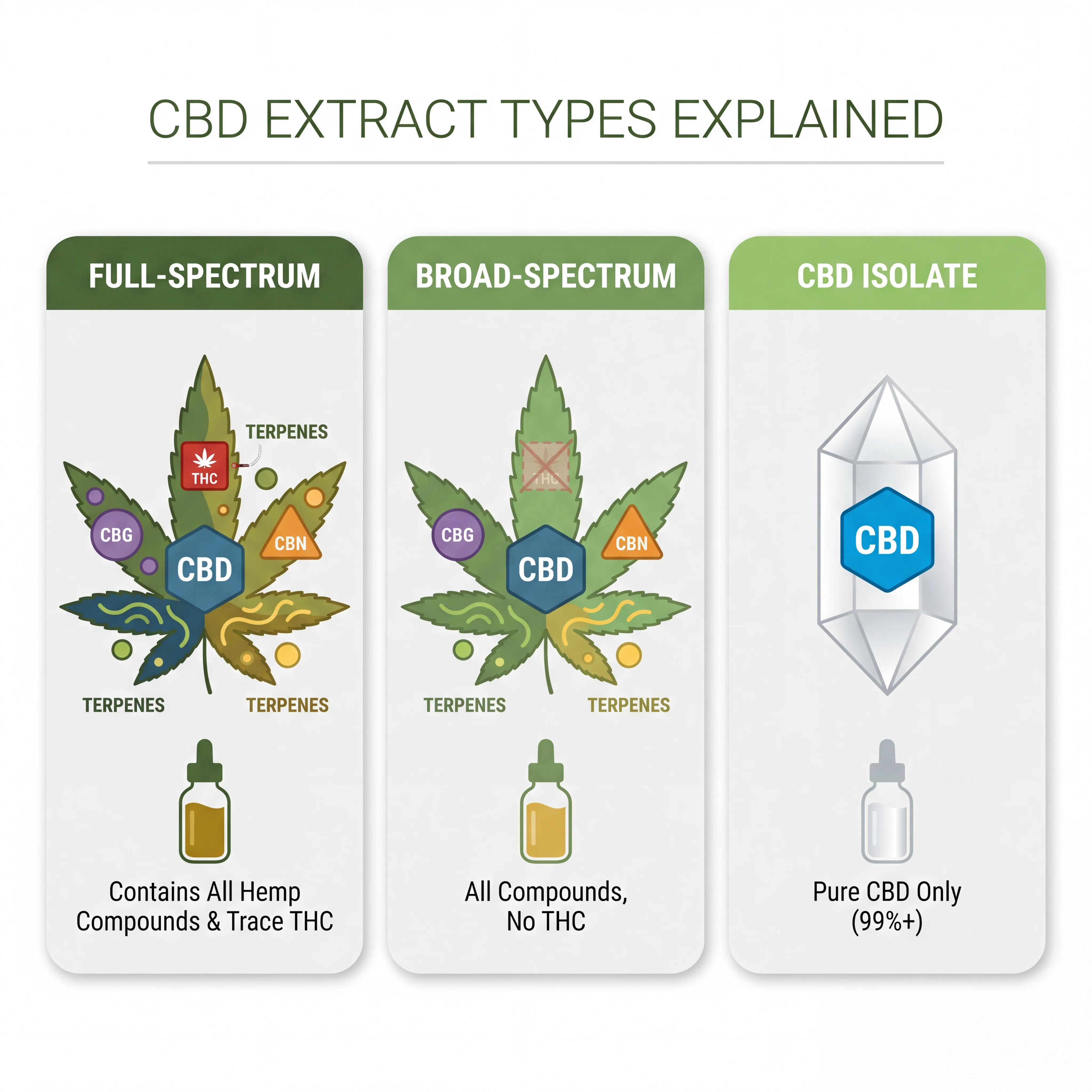 Infographic showing the three types of CBD extract used in gummies with cannabinoid profiles for each