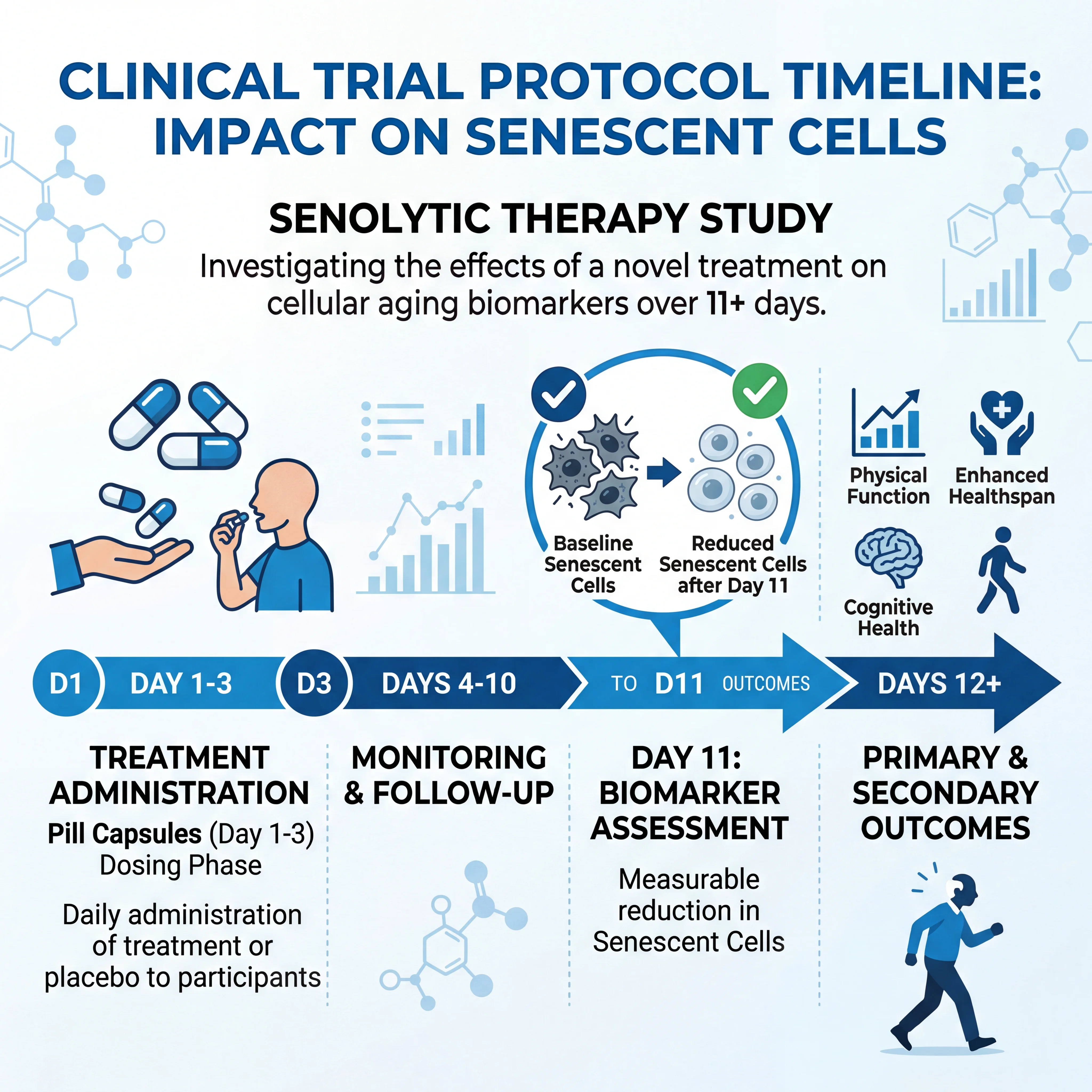 Medical infographic showing a clinical trial protocol timeline with pill administration, senescent cell reduction, and health outcomes