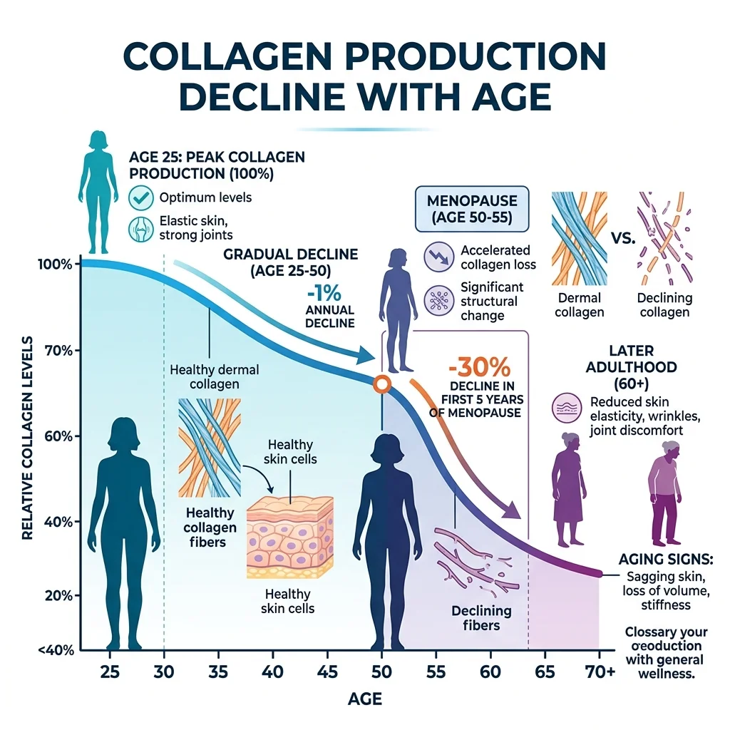 Diagram showing collagen production decline from age 25 through menopause with percentage markers