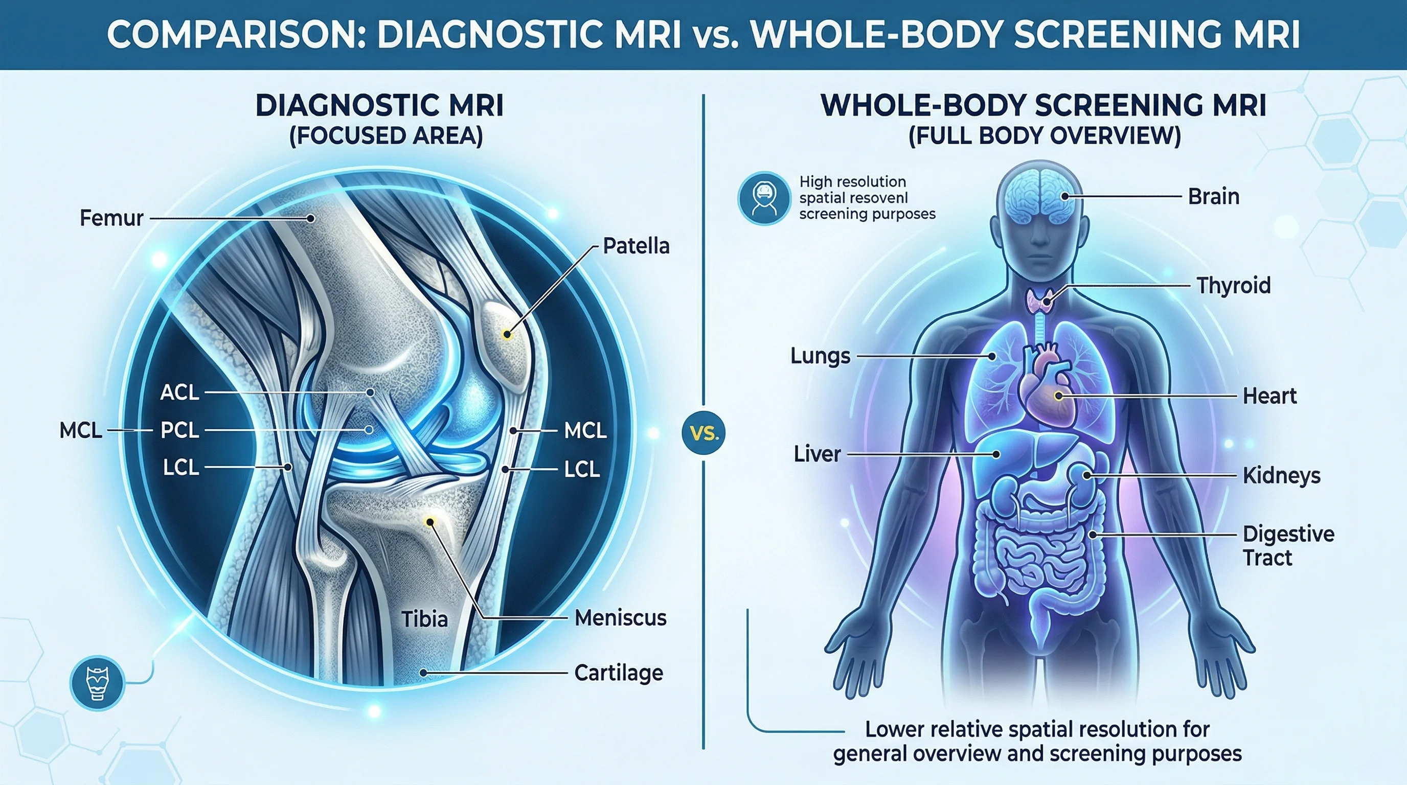 Comparison illustration showing focused diagnostic MRI versus whole-body screening MRI coverage