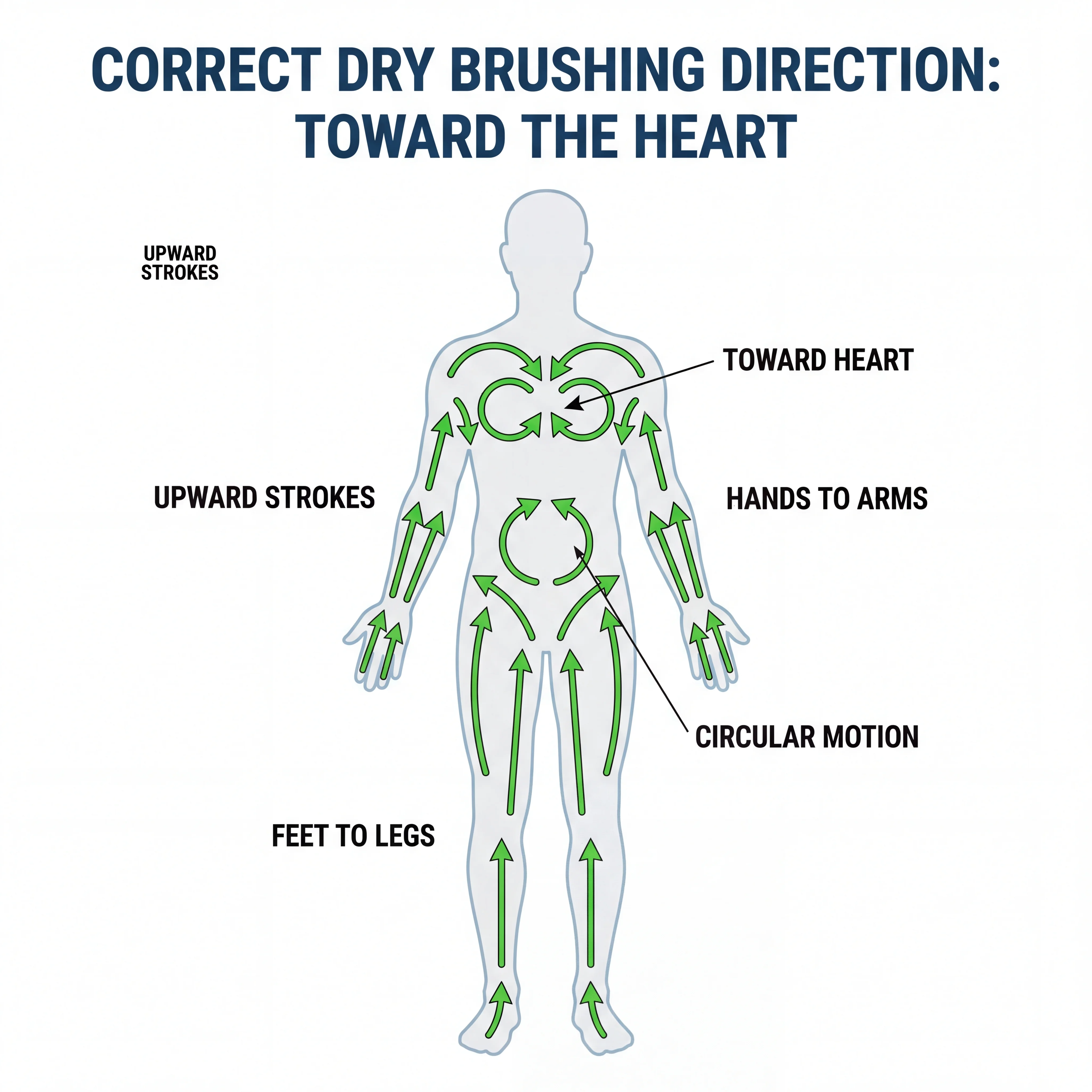 Step-by-step visual guide showing the correct direction of dry brushing strokes from feet upward toward the heart