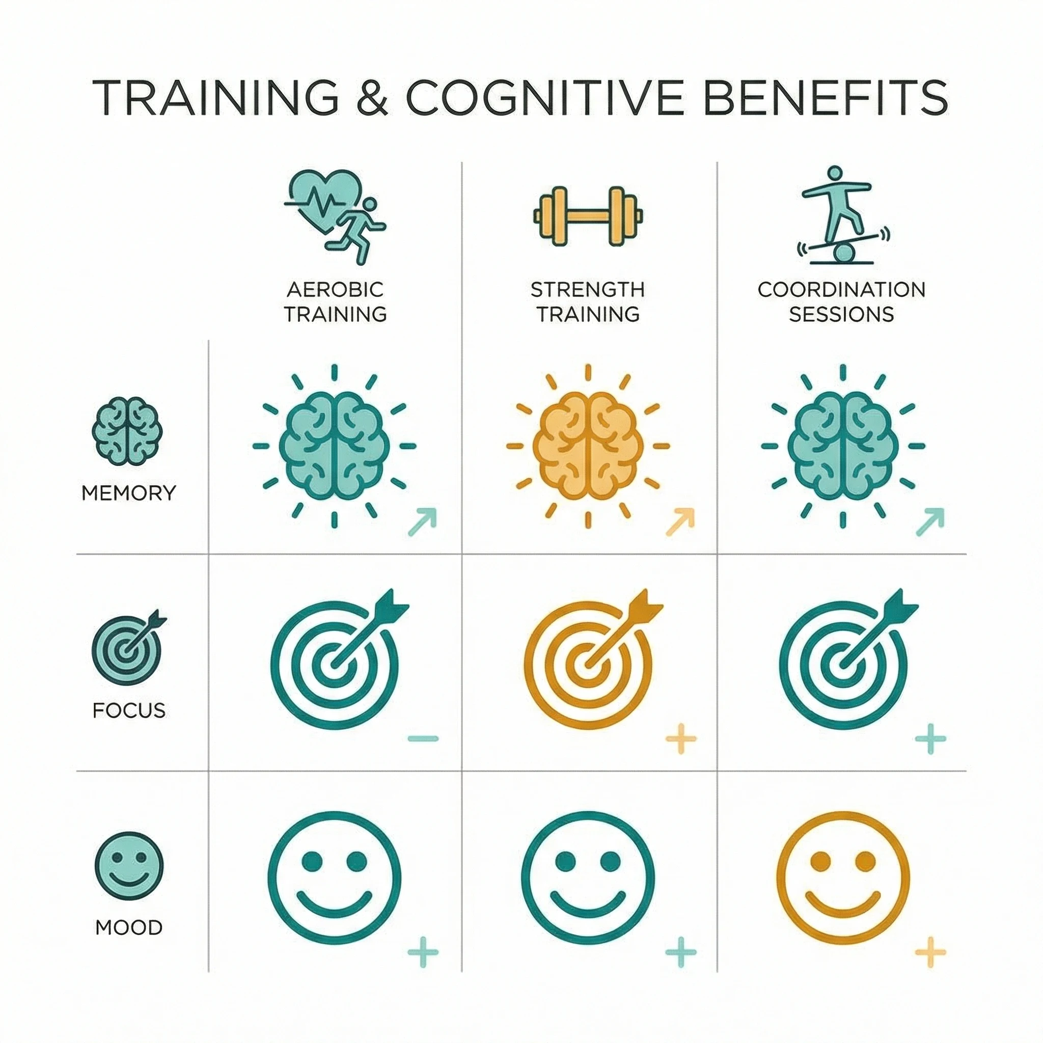 Infographic comparing aerobic training, strength work, and coordination sessions with their primary effects on memory, focus, mood, and long-term brain resilience.