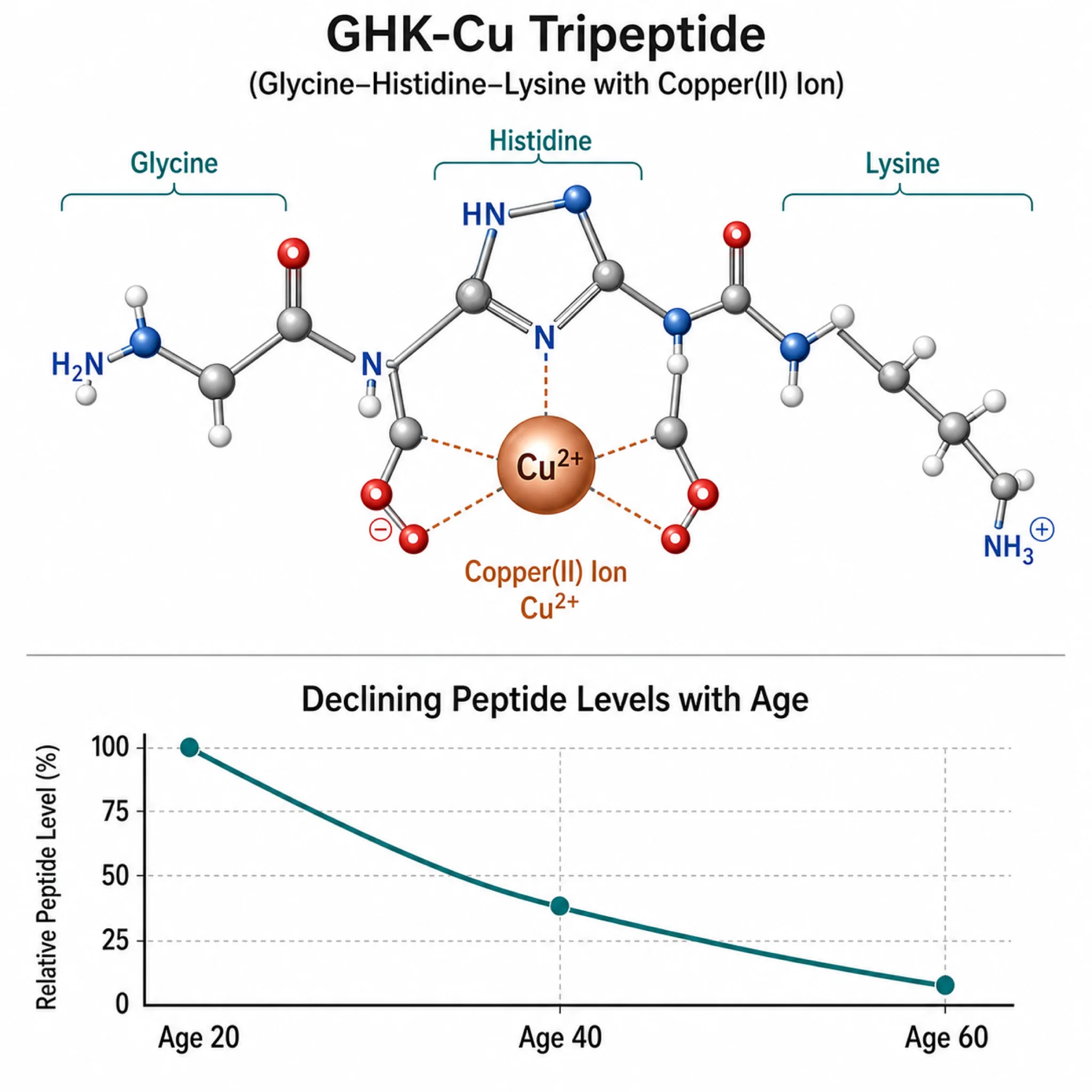 GHK-Cu molecular structure with graph showing age-related decline in peptide levels