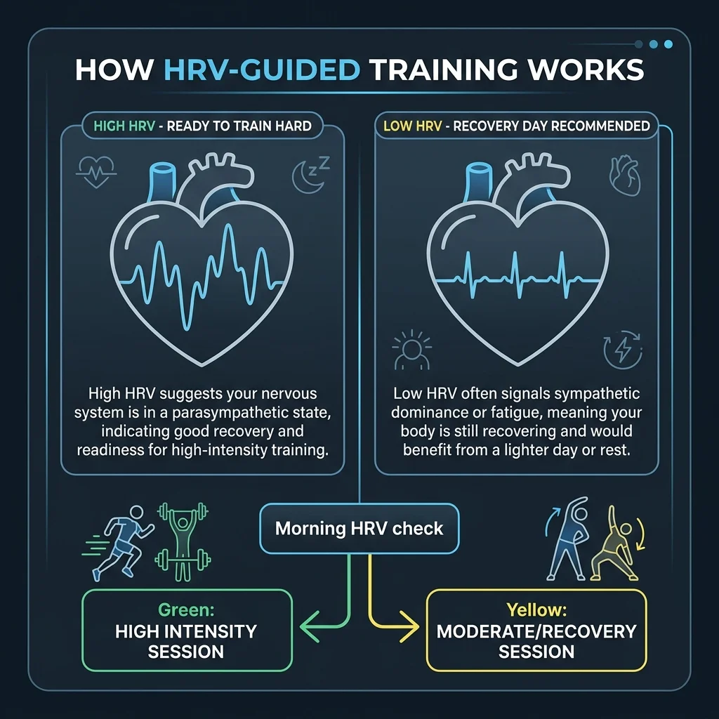 Infographic explaining how HRV-guided training decisions work, showing high versus low HRV readings and corresponding training recommendations