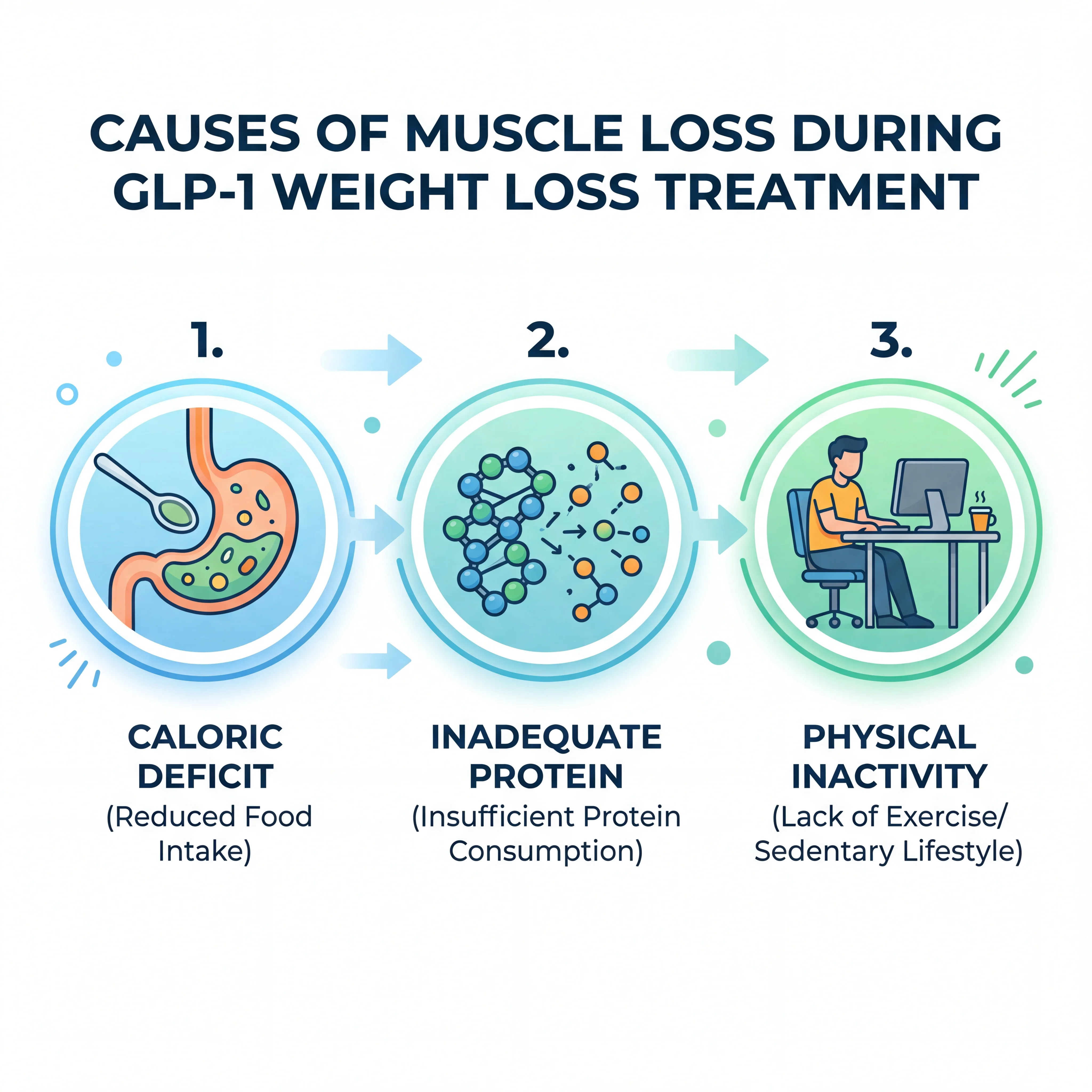 Infographic showing the three factors driving muscle loss during GLP-1 treatment: caloric deficit, reduced protein intake, and physical inactivity