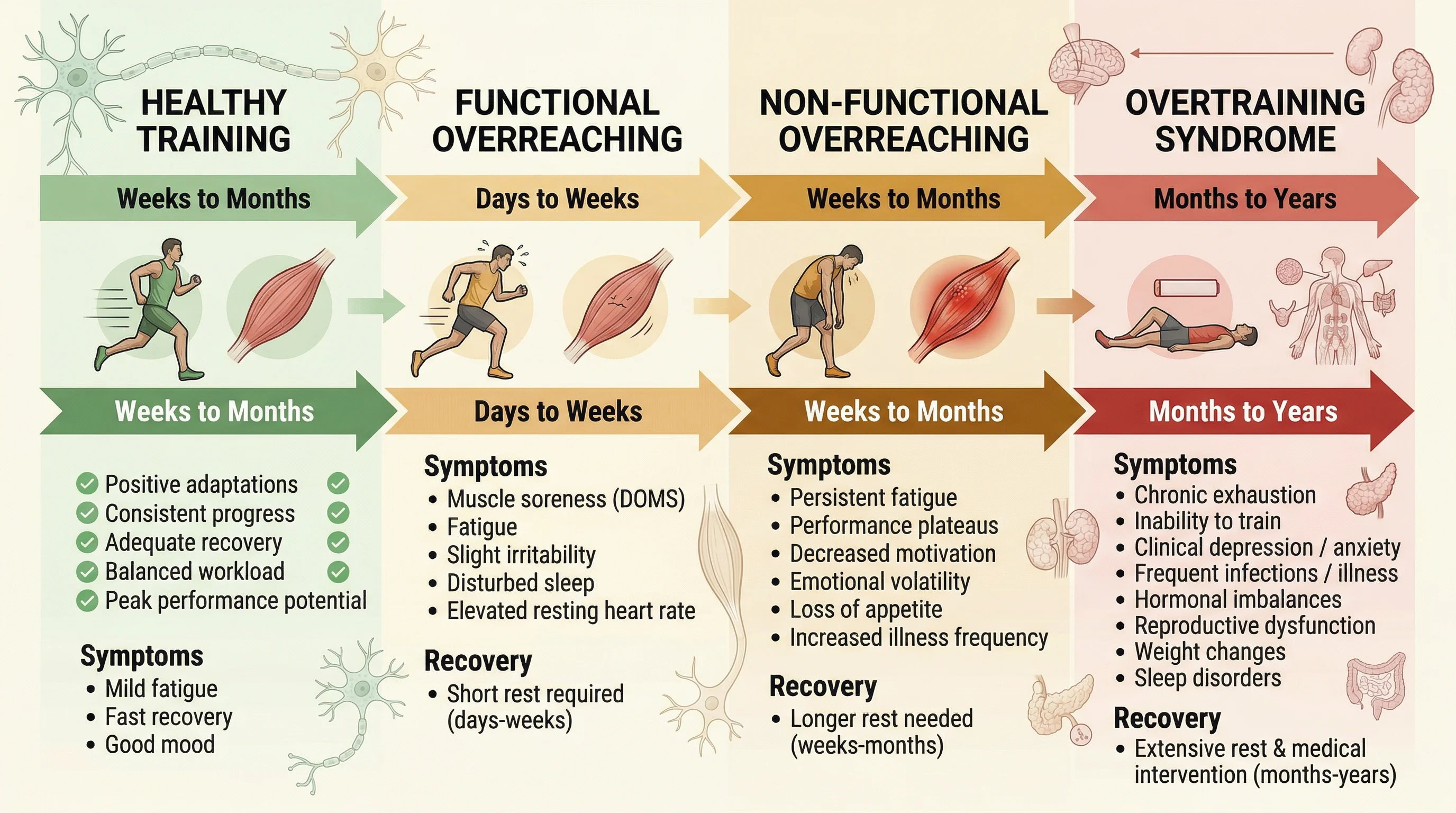 Timeline showing progression from healthy training to overtraining syndrome with symptoms at each stage