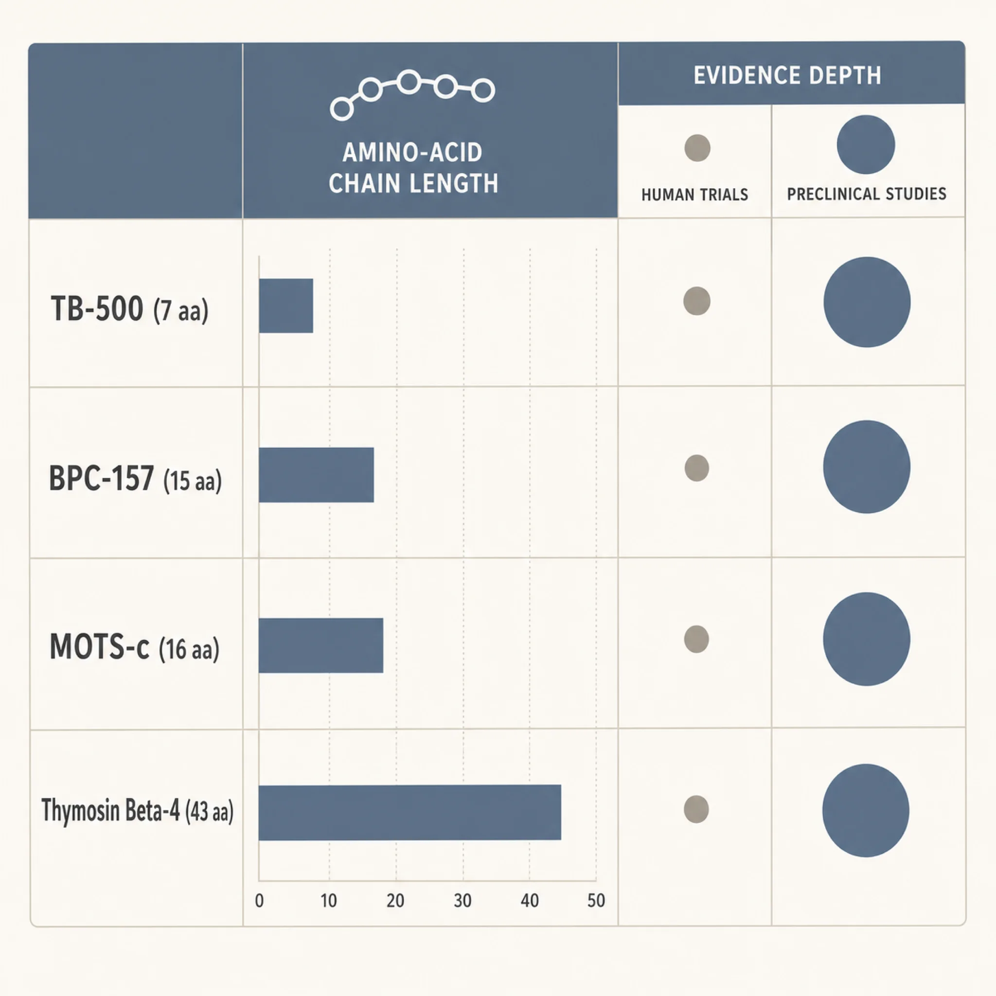 Infographic comparing amino acid chain lengths and human versus preclinical trial counts for TB-500, BPC-157, MOTS-c, and Thymosin Beta-4