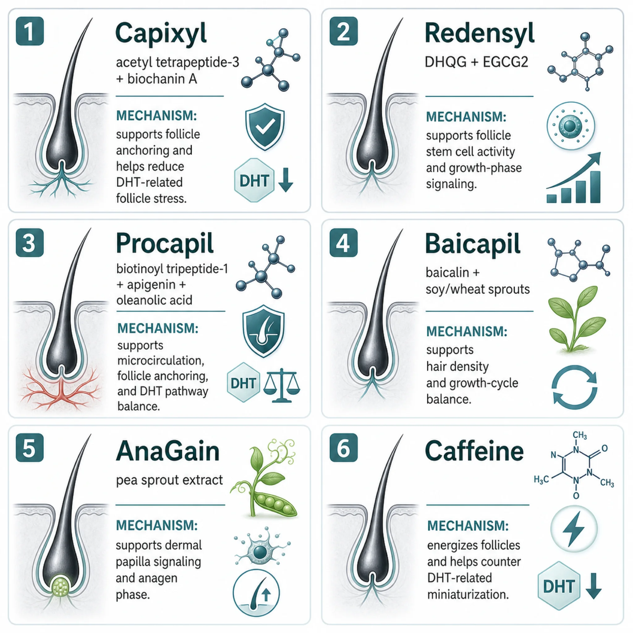 Infographic showing the six main biomimetic peptide complexes found in commercial hair growth serums with their active ingredients and mechanisms