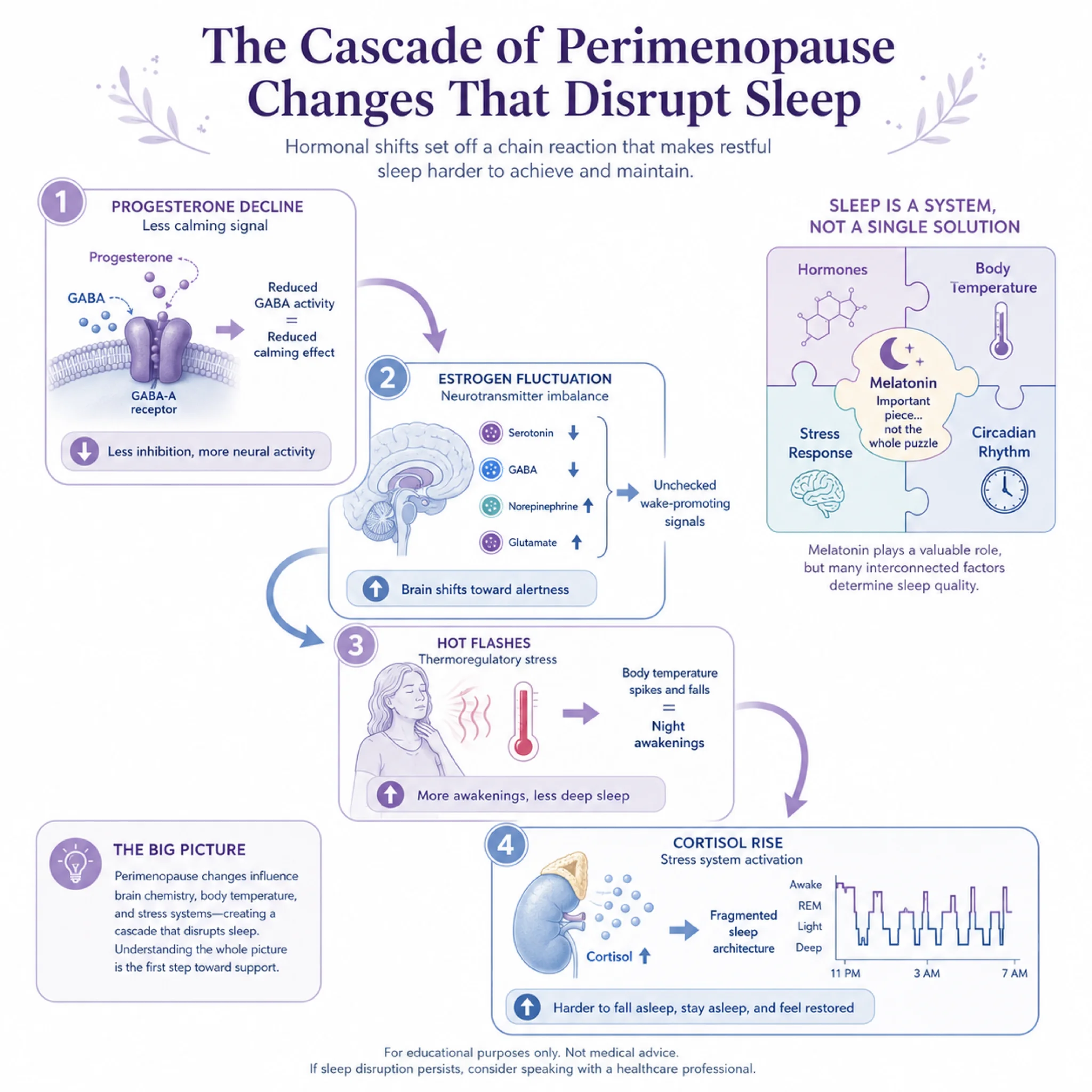 Infographic showing how progesterone decline, estrogen fluctuation, hot flashes, and cortisol changes each contribute to perimenopausal insomnia beyond melatonin deficiency