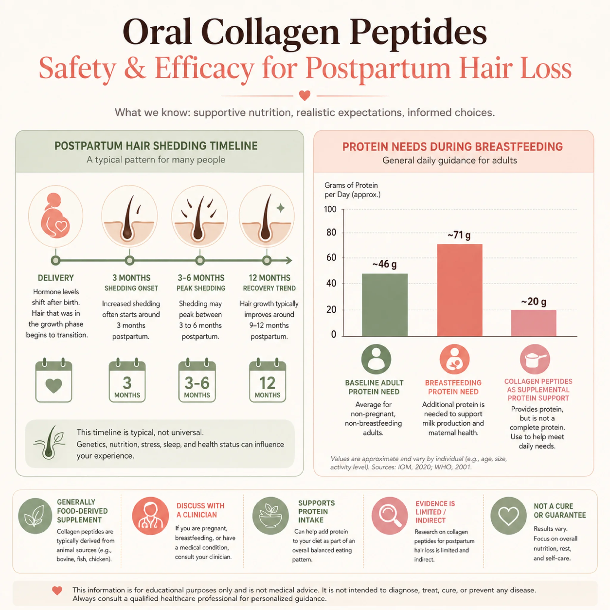 Infographic showing postpartum hair loss timeline and collagen peptide supplementation details for breastfeeding mothers