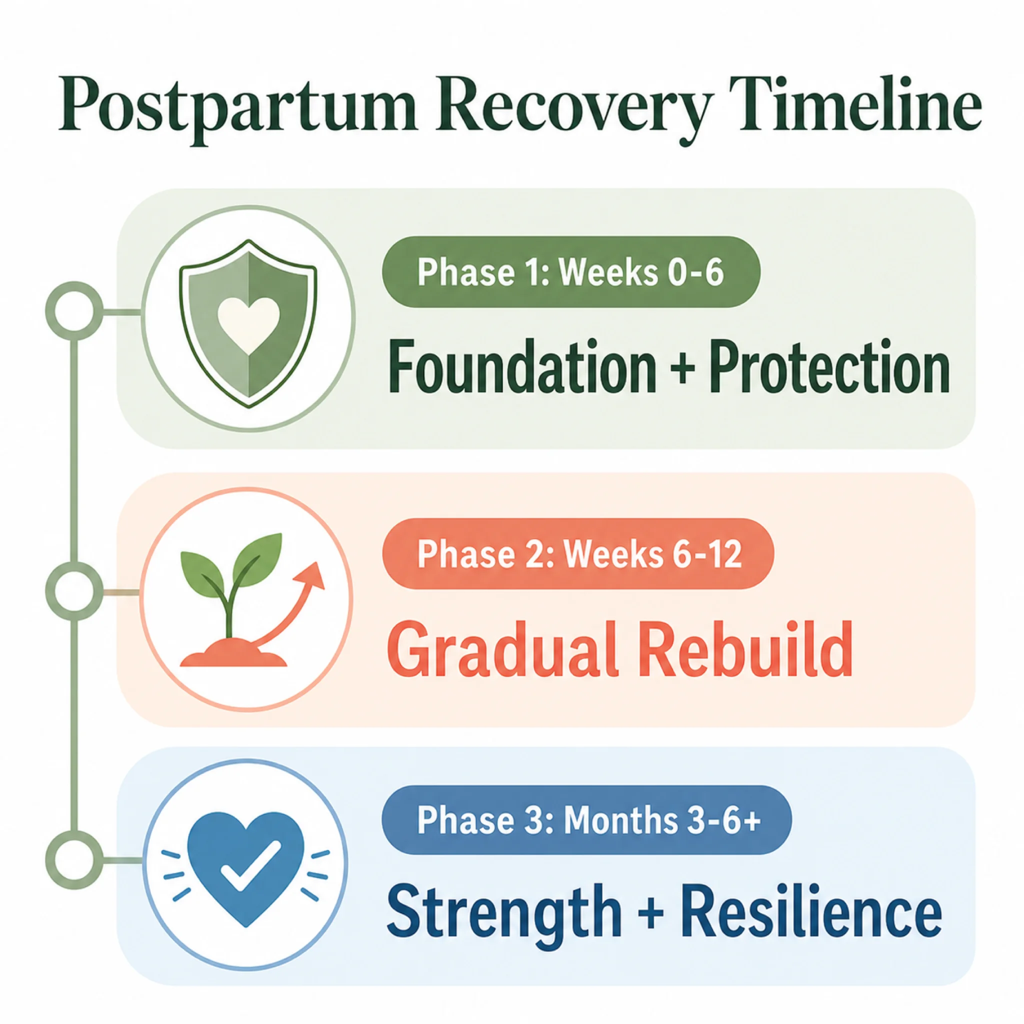 Three-phase postpartum recovery timeline showing weeks 0-6 protect phase, weeks 6-12 rebuild phase, and weeks 12-24 strengthen phase