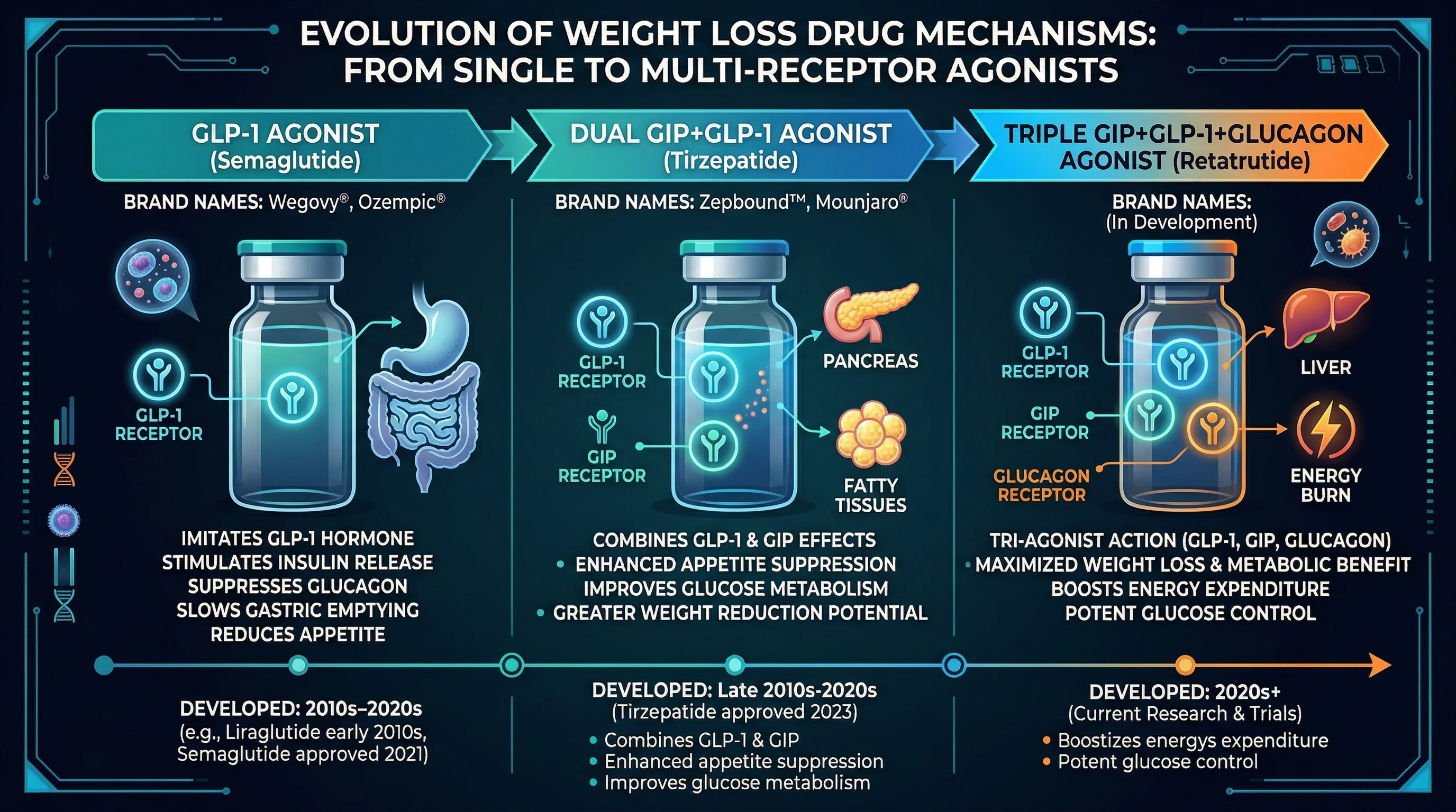 Infographic comparing the progression from single-receptor to dual-receptor to triple-receptor weight loss drugs