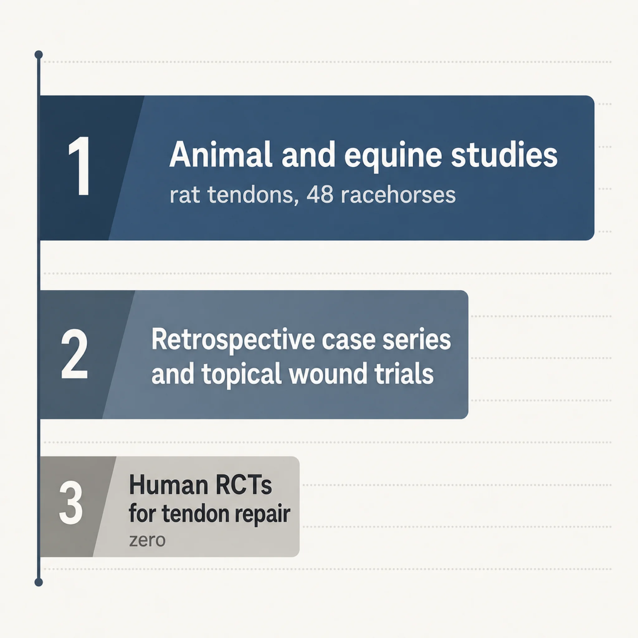 Infographic showing evidence depth for TB-500 tendon healing claims, with animal and equine studies as the largest bar and human RCTs for tendon repair as the smallest